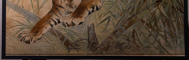 Tijger
