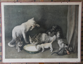 Katten