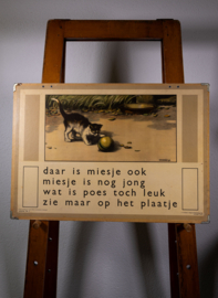 Daar is Miesje ook . De tuin hoort bij school. 2Zijdig