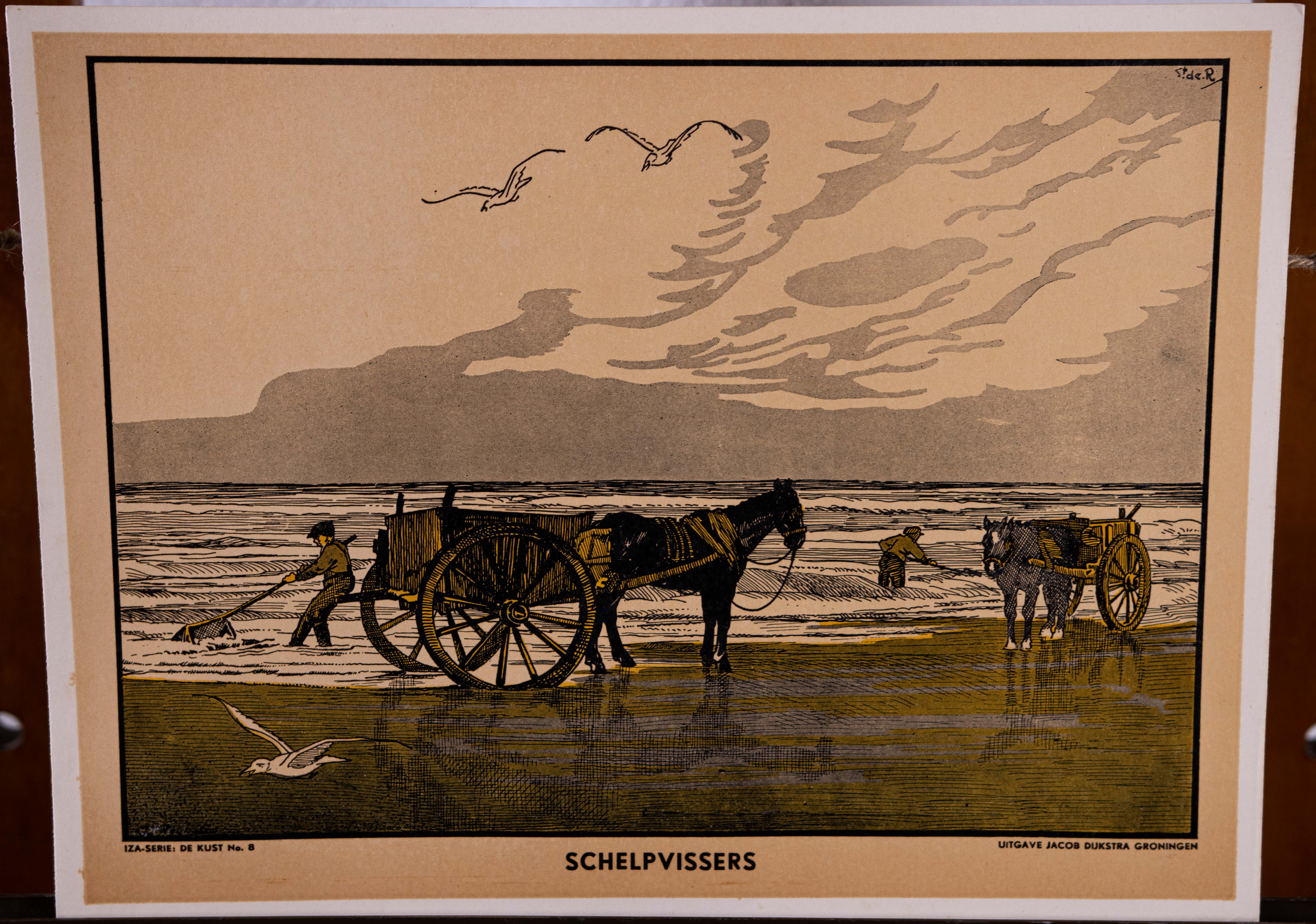 Schelpvissers