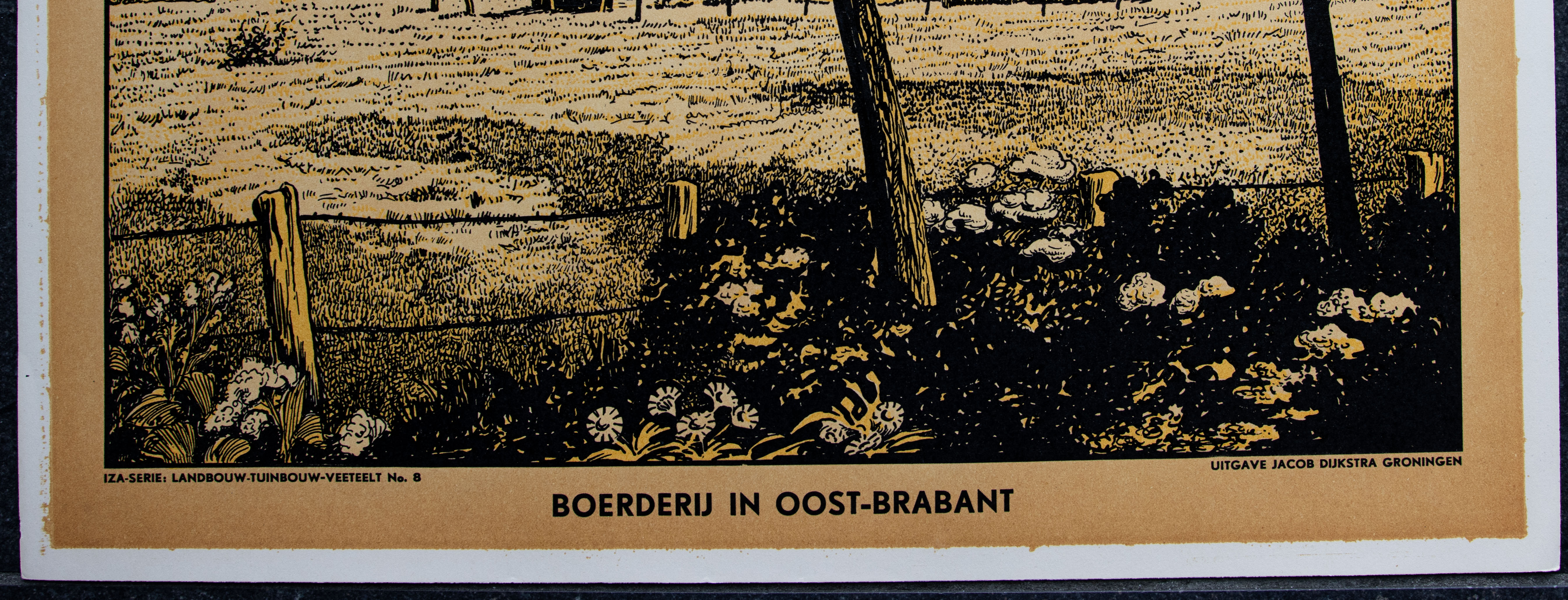 Boerderij in Oost-Brabant