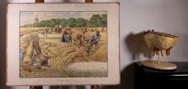 Een Julidag op ’t land