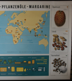 Olierijke planten