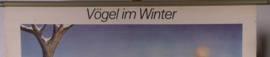 Vogels in de winter