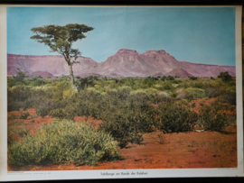 Tafelberg Kalahari