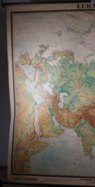 Eurasien   XXL
