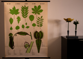 Het blad