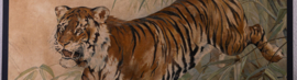 Tijger