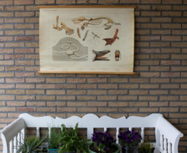 In de weide bijplaat