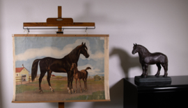 Paard en veulen
