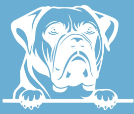 Auto sticker - Bullmastief  - Peeking - Gluur - Hond - dog - bumper