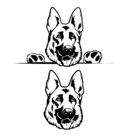 Auto - raam - deur - sticker - laptop - gluur herder- herderskop -dog