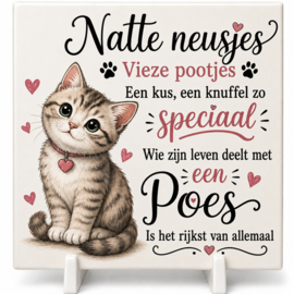 Decoratieve Tegel – “Natte neusjes - gekleurd