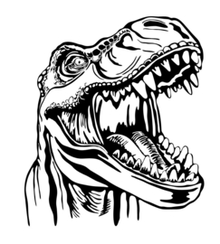Muur - Raam sticker Tyrannosaurus Rex  Jongens kamer - decoratie