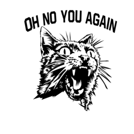 Decoratieve auto - raam -bumper - sticker - tekst oh no you agian - schrikkat - poes