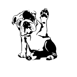 Auto - deur - muur - raam sticker   bulldog - bully