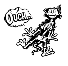 Auto - Raam Sticker - Grappige -  Schrik kat - Poes - Funny - Looster-art&design