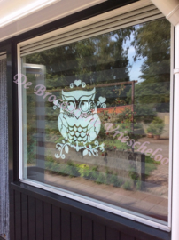 Raam of muur sticker  Grote uil