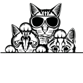 Decoratieve 3 poezen kopjes - raam sticker - wall art