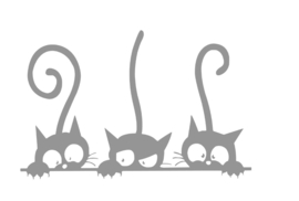 Raam sticker poezen - Katten - cats