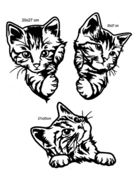 Raam stickers Gluur kittens - Katten - Peeking Cats
