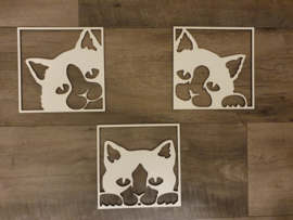 wanddecoratie 3 paneeltjes van katten