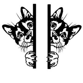 Raam - Muur sticker gluur katten - Poezen - Peeking Cats - Decoratief