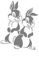 Raamsticker Haasjes - Pasen - Bunny`s - Wall art