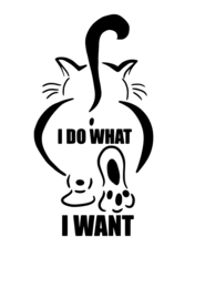 Auto - Raam sticker Spreuk I do what I want - Grappige Quote - Tekst