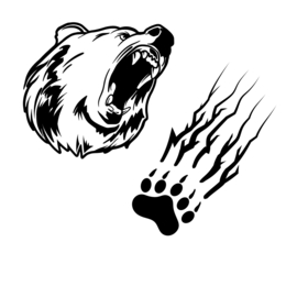 Raam - auto sticker - decoratief - grappige beer - klauw - bumper stickers