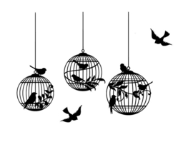 Muur / Raam sticker 3 vogel kooien Decoratief - Teksten - Quotes - Woonkamer - Slaapkamer