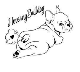 Auto  raam sticker Bulldog - frenchie - Franse - afmeting 25 x 20 cm