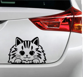 Auto raam sticker Poes - Cat - Kat - Funny - Grappig