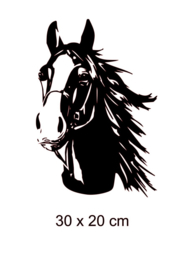 Sticker paardenhoofd