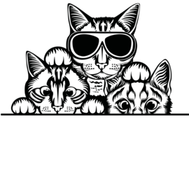 Decoratieve - raam - muur sticker  3 gluur katten - poezen -