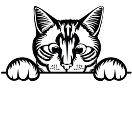 Sticker guur kat - kitten - poes