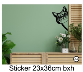 Muur  Raam sticker gluur kat / poes