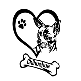 Auto raam sticker Chihuahua