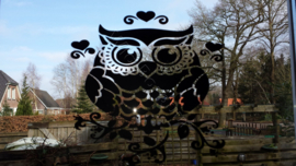 Raam of muur sticker  Grote uil