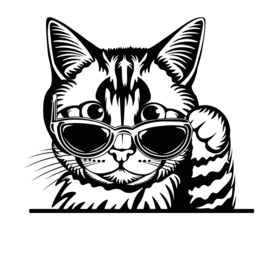 Raam - auto sticker gluur kat met bril