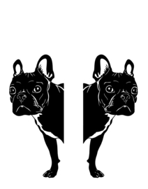 Deur / Raam sticker Franse bulldog - Peeking Frenchie
