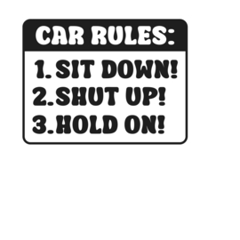 Auto - raam - deur - bumper sticker  Car rules