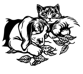 Raam - Muur sticker Hond en Poes - Wall art - Decoratief - 37x30 cm bxh