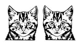 Sticker gluur poezen - peeking cats - katten