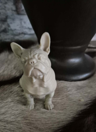 Beeld engelse bulldog