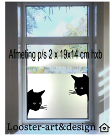 Super leuke gluur katten Peeking cats