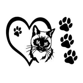 Atuo - raam sticker Poes - kat - cats