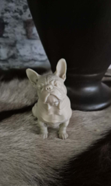 Beeld engelse bulldog