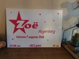 Geboorte bord