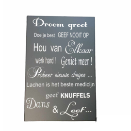 Tekstbord  Droom groot